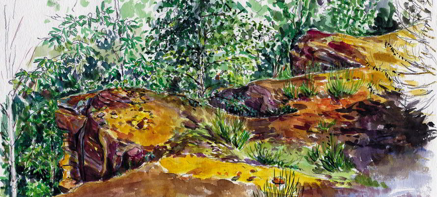 aquarelle Front roussard laMutte bandeau