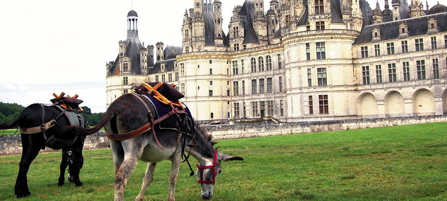 chambord a dos ane badeau