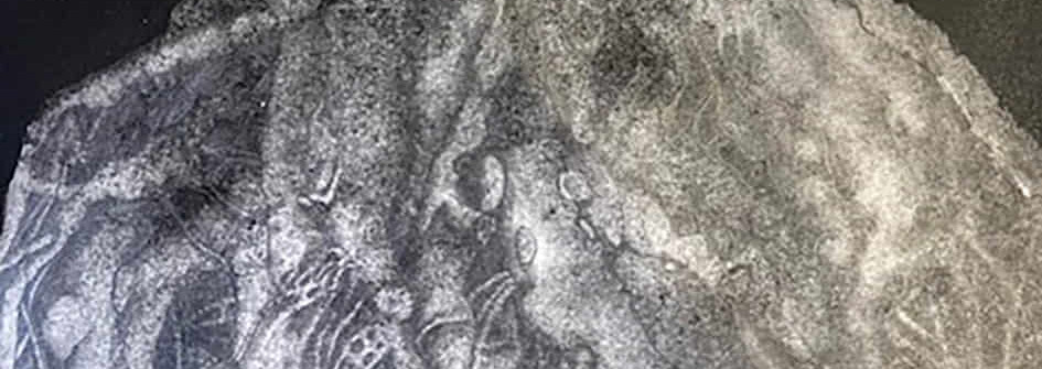 expo laurent potier fev 1 banniere