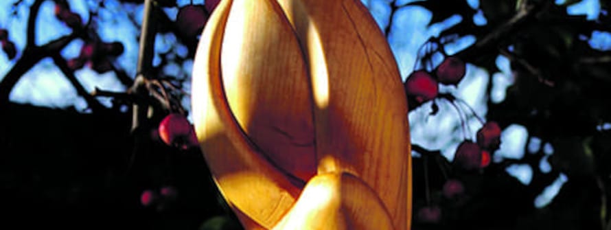 quai des arts expo perronno banniere