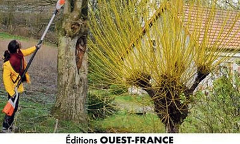 guide des trognes avant