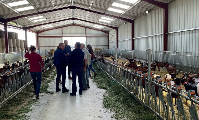 lors de la visite de la chevrerie avant