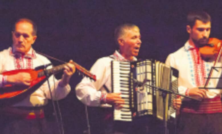 moldavie partizan fs 29 avant