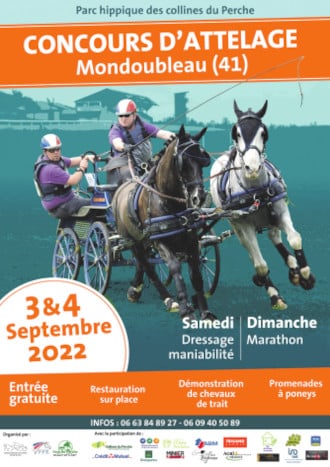 mondoubleau concours attelage 2022 330 1
