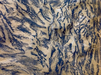 ponce expo3 novello 330