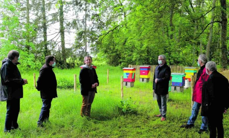 13e édition des journées nationales APIdays 1 abeilles 052021 avant