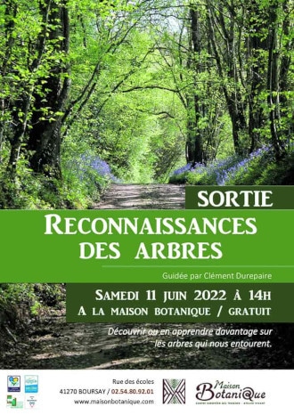 affiche reconnaissance des arbres 330 1