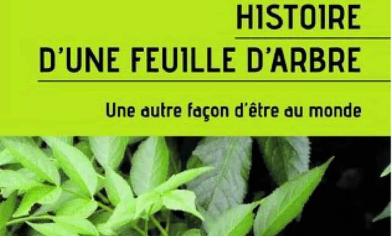 histoire feuille arbre avant