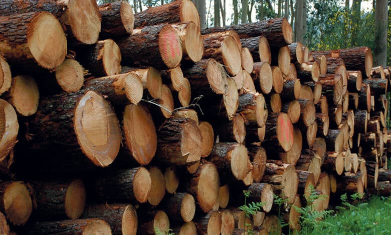 chauffage bois avant