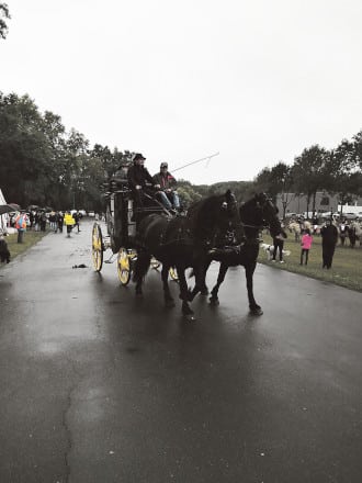 journee cheval 330