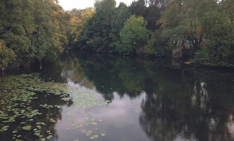 design sans titre 73