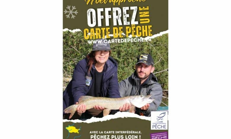 design sans titre 76