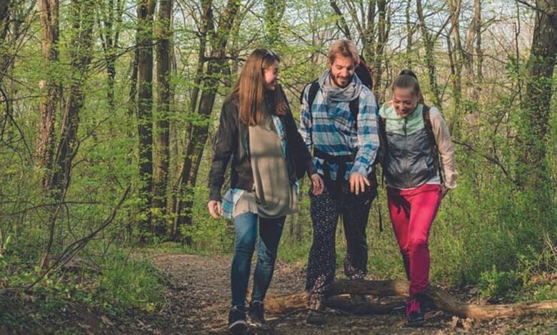 design sans titre 2024 04 09t215316 395