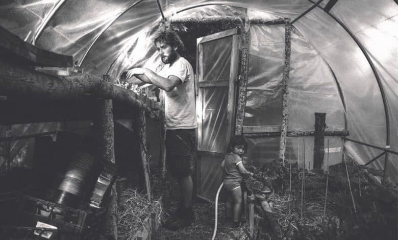 design sans titre 99