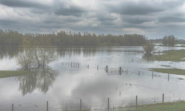 novembre 24 48 1