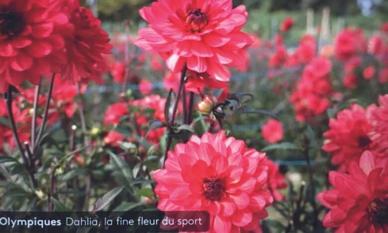 design sans titre 2024 06 10t232342 639