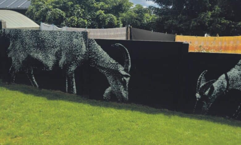 design sans titre 2024 06 10t233454 101