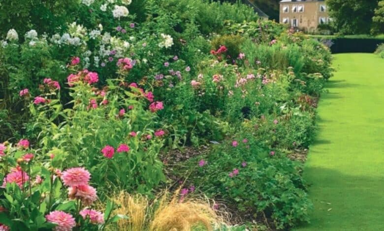 design sans titre 87