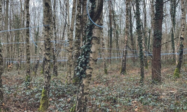 design sans titre 25 3