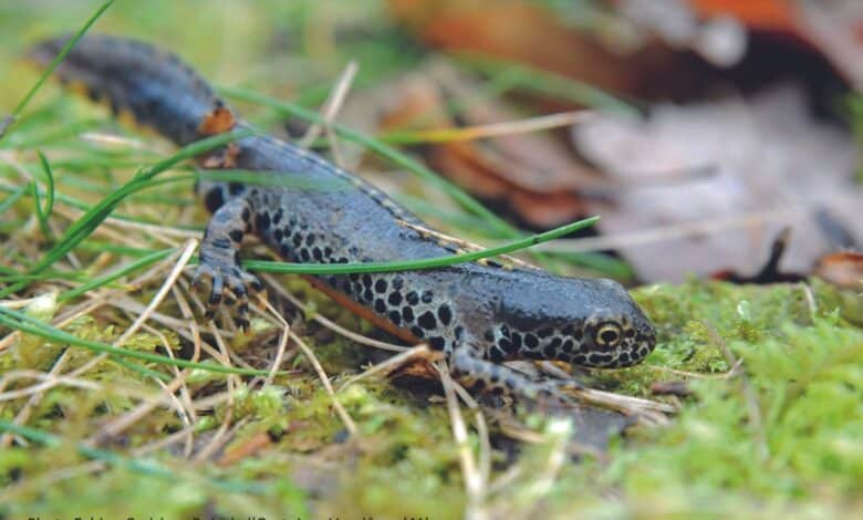 design sans titre 27 3