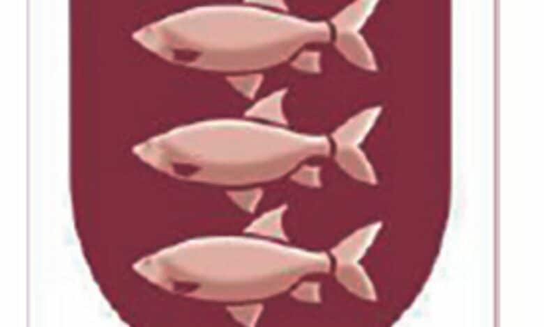 design sans titre 31 4