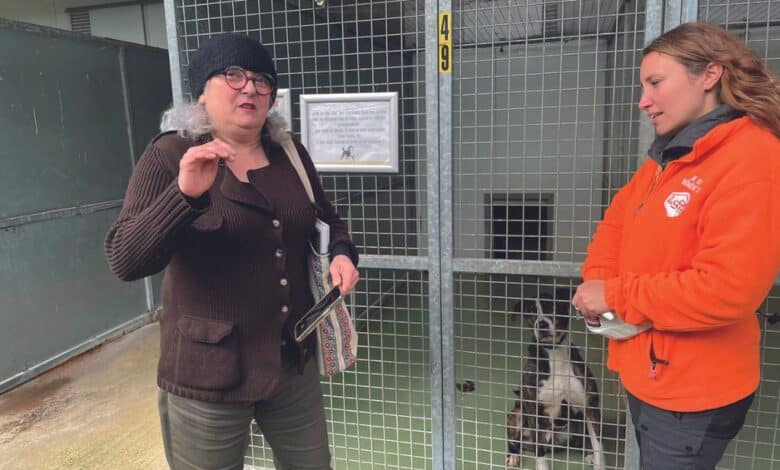 design sans titre 32 4