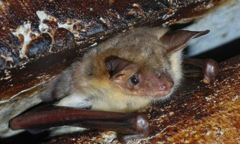 design sans titre 64 1