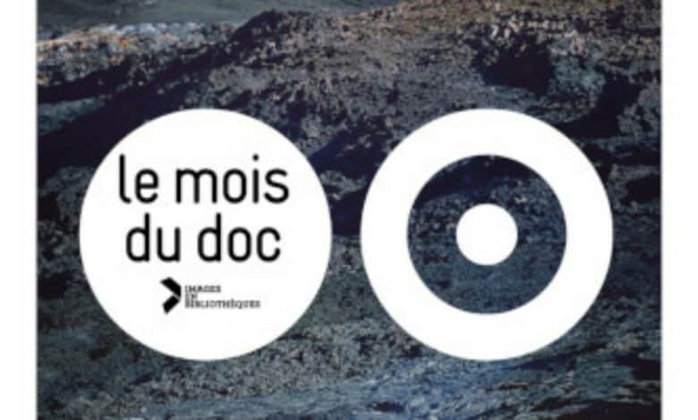 novembre 24 50