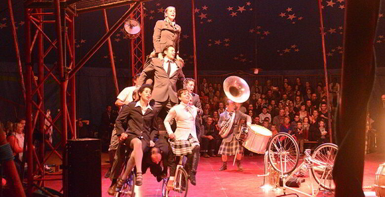 Cheptel Aleikoum ; Causette