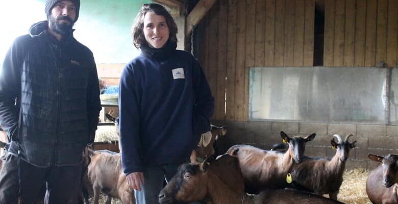 Julien Elise chevres