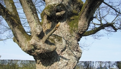 Cercle des Poètes retrouvés