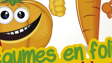 Legumes en folie bandeau