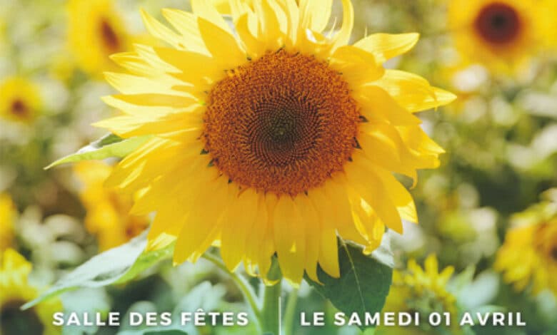 Salon Bien etre avant