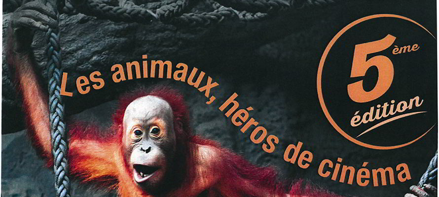 affiche cloyes festival2015 bandeau