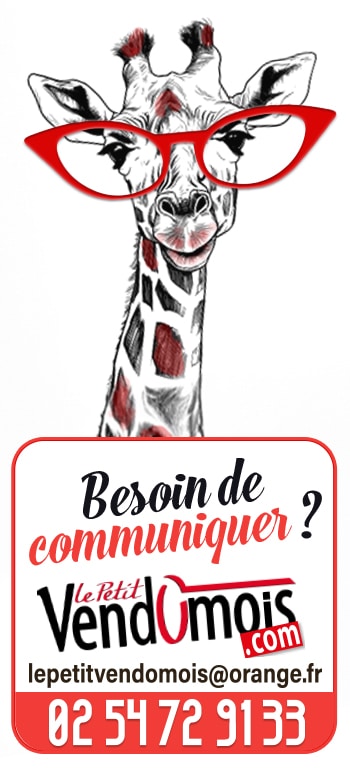 Très Belle année 2025 !