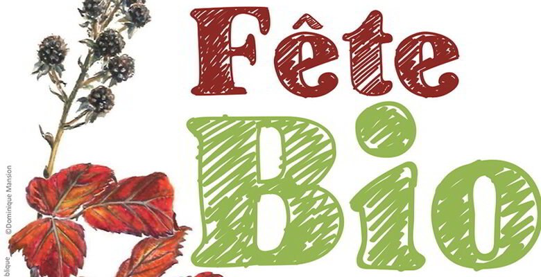 boursay fete bio
