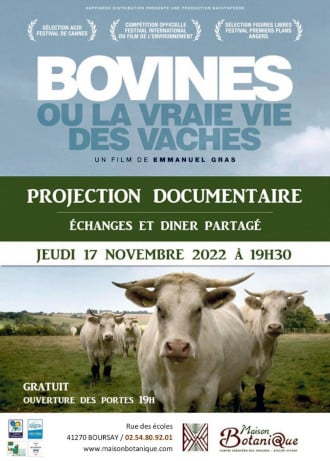 bovine la vraie vie des vaches 330
