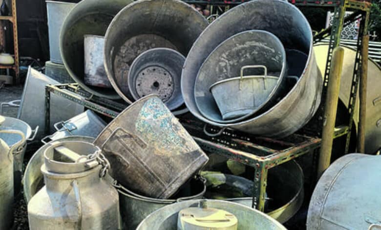 broc en campagne illustration 1 avant