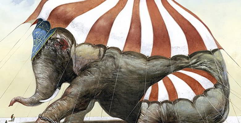 Stop Cirque 37 ; Code animal