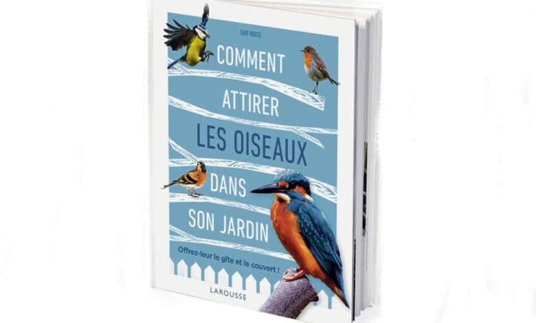 comment attirer les oiseaux avant