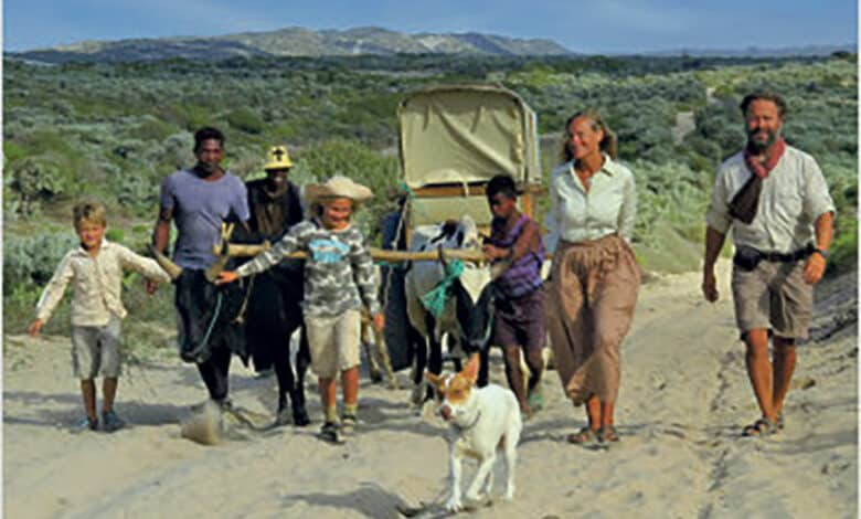 conf famille poussin avant