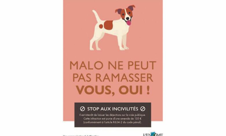 cp dejections canines 3