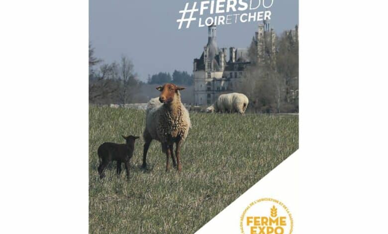 design sans titre 26