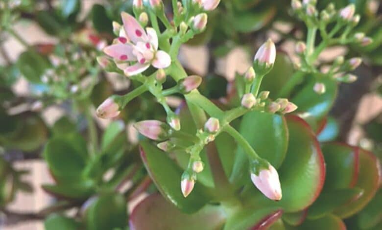 design sans titre 31 3