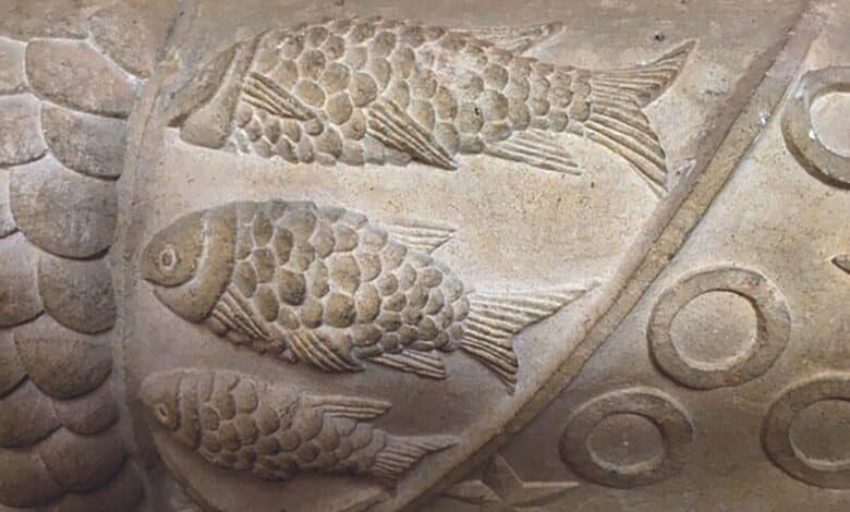 design sans titre 35 3