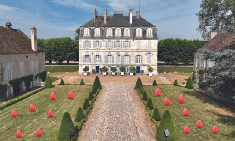 design sans titre 72