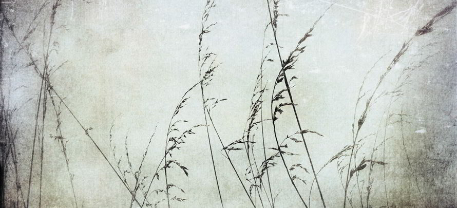 expo atelier rampe Dandeker2015 bandeau