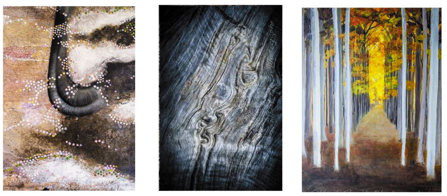 expo la chartre seve bandeau