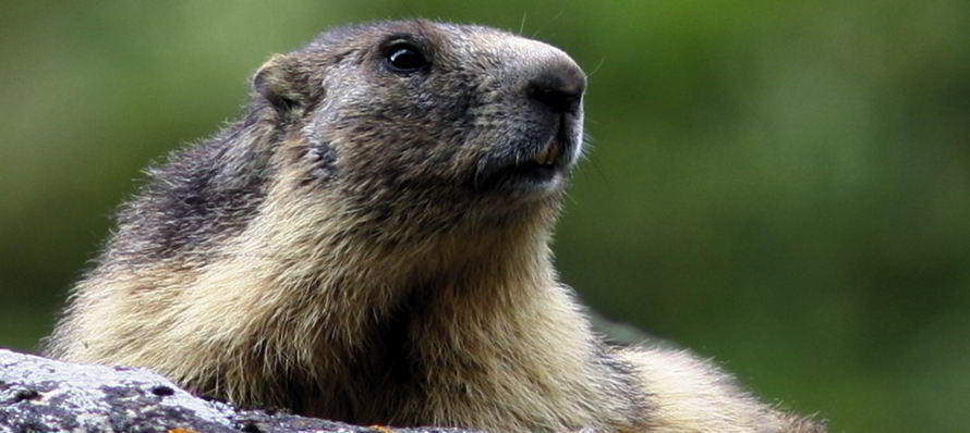 expo plaisir au naturel
