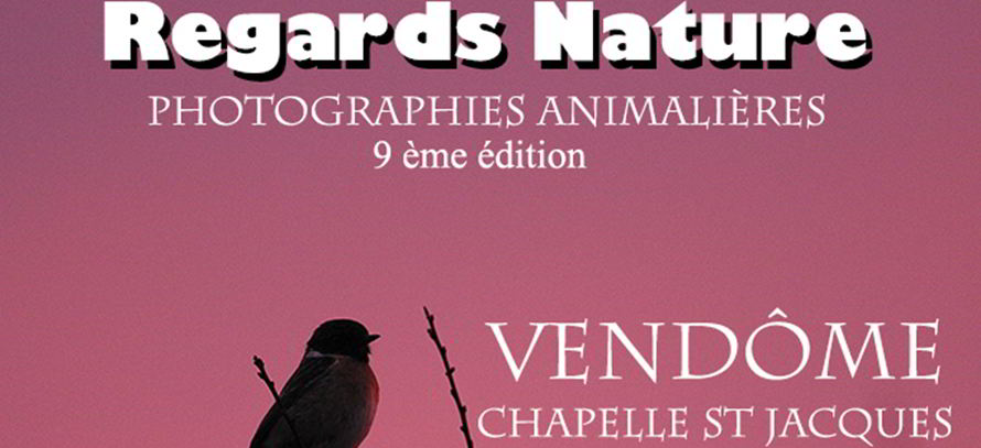 expo regard nature bandeau